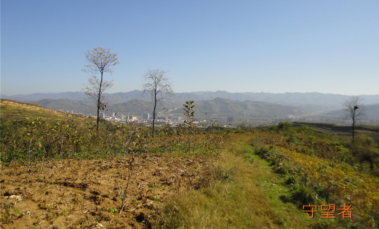 DSC09571_副本_副本.jpg