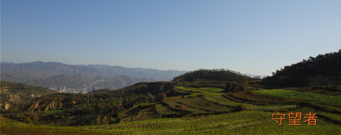 DSC09598_副本_副本.jpg