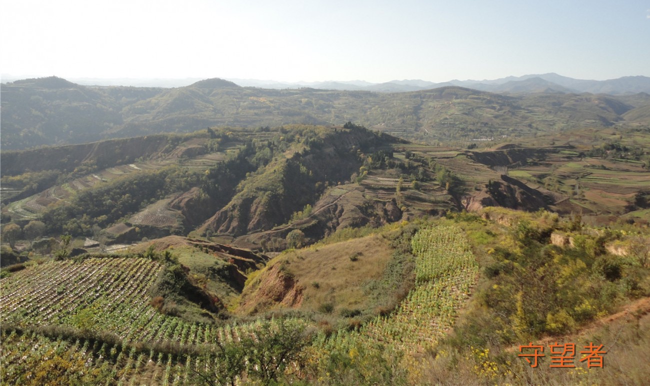 DSC09647_副本_副本.jpg