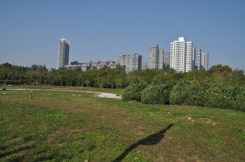 DSC_0095_conew1.jpg