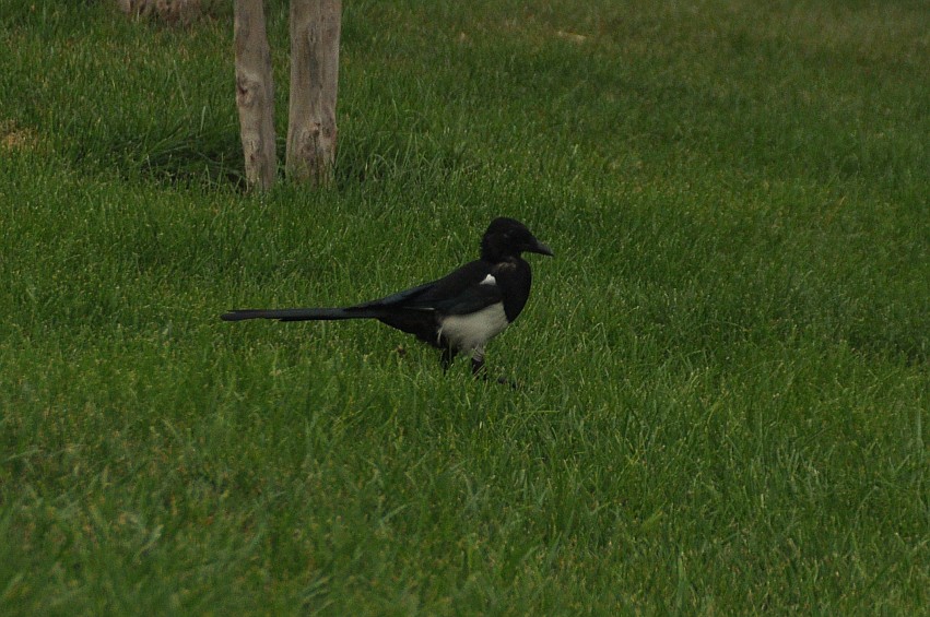 DSC_0020_conew1.jpg