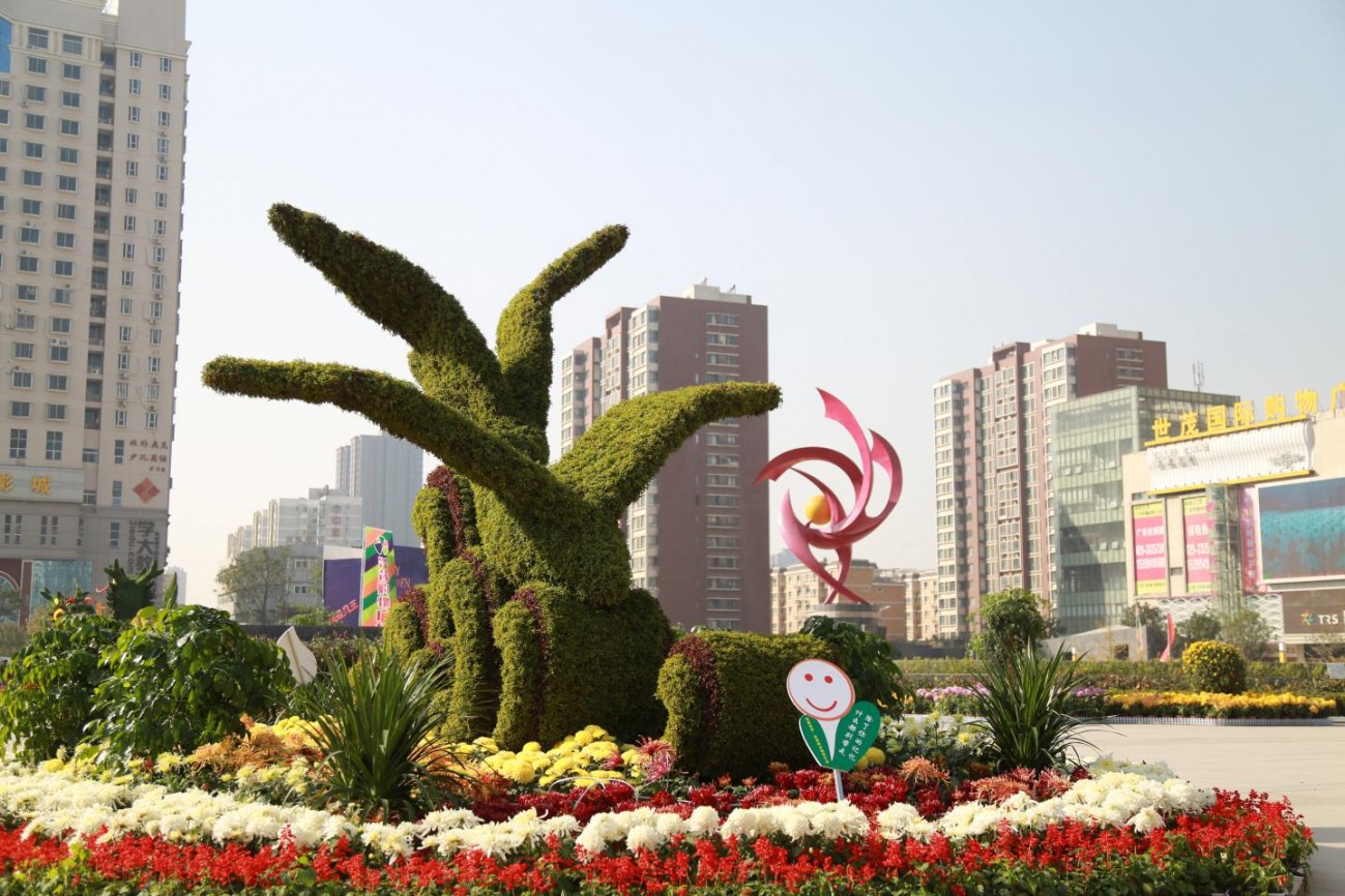 QD5A6015.JPG