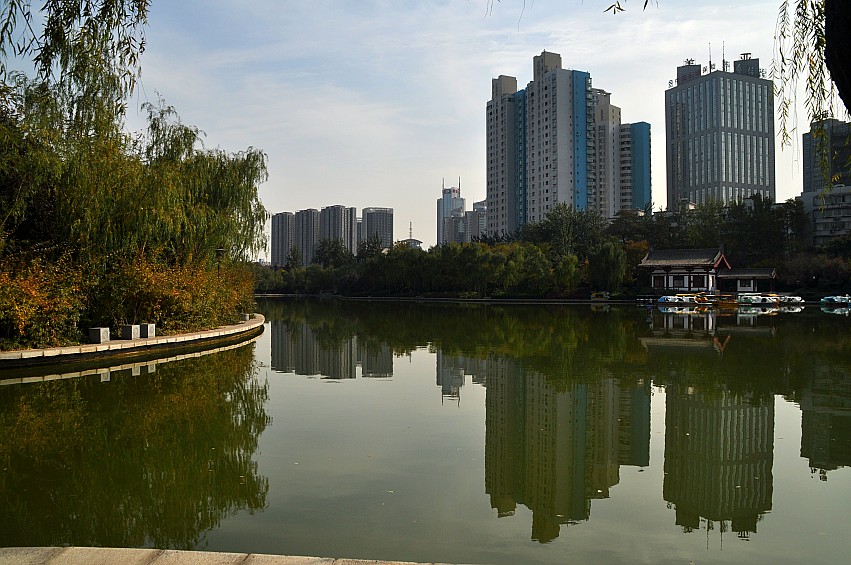 DSC_0047_conew1.jpg