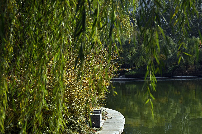DSC_0046_conew1.jpg