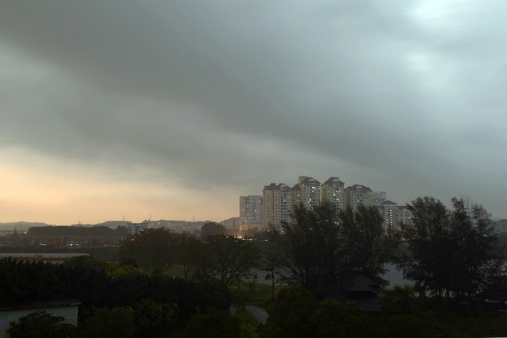 D4A_9488.jpg