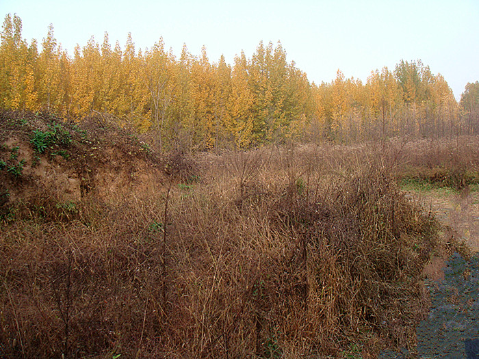 DSC06209_副本.jpg
