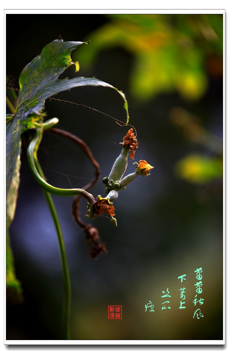 IMG_0557_副本.jpg