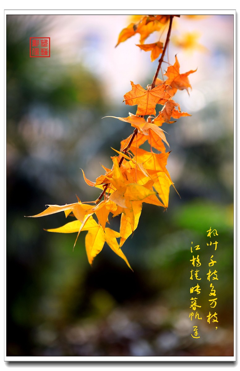 IMG_0542_副本.jpg