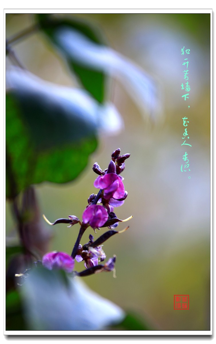 IMG_0567_副本.jpg