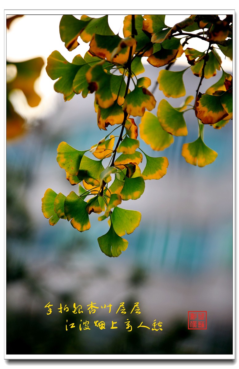 IMG_0600_副本.jpg