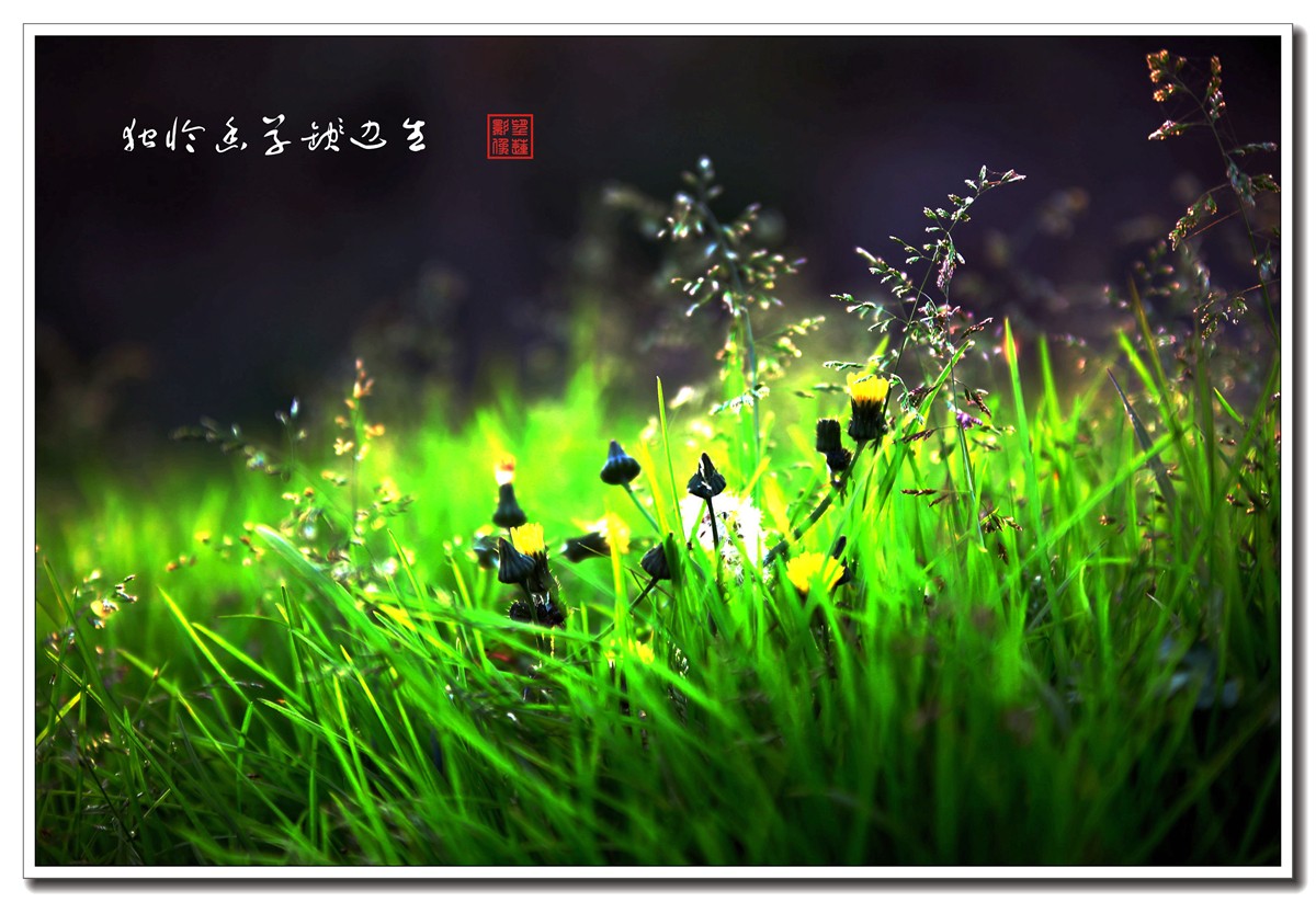 IMG_0643副本.JPG