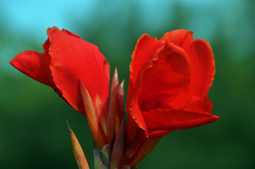 DSC_0001_conew1.jpg