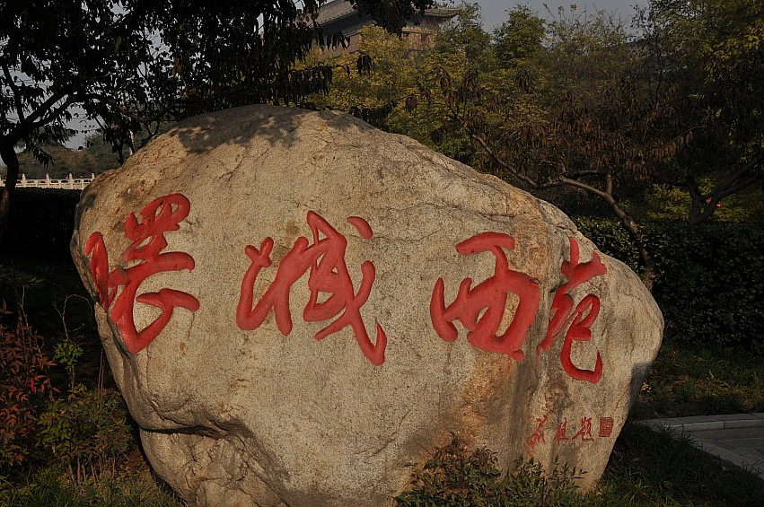 DSC_0030_conew1.jpg