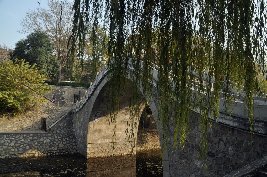 DSC_0053_conew1.jpg