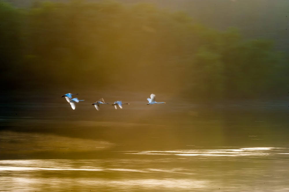 _XJS01070001001.jpg