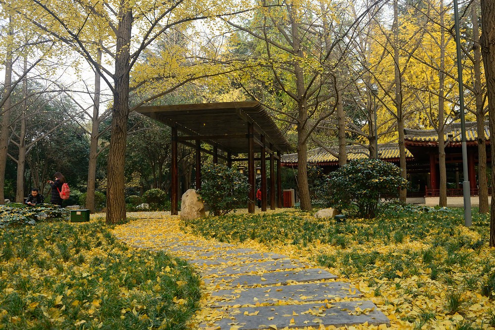 2014.11.25大雁塔3.jpg
