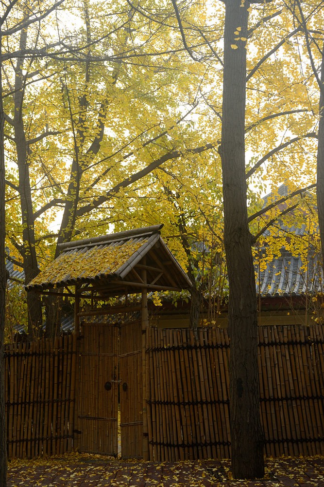 2014.11.25大雁塔7.jpg