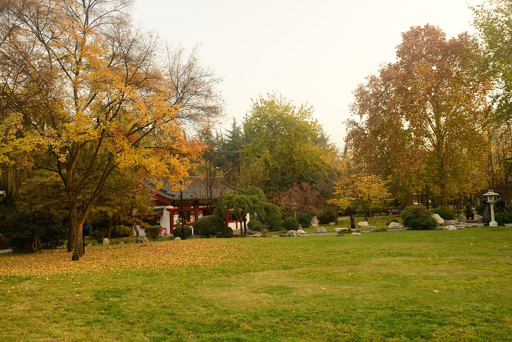 2014.11.25大雁塔8.jpg
