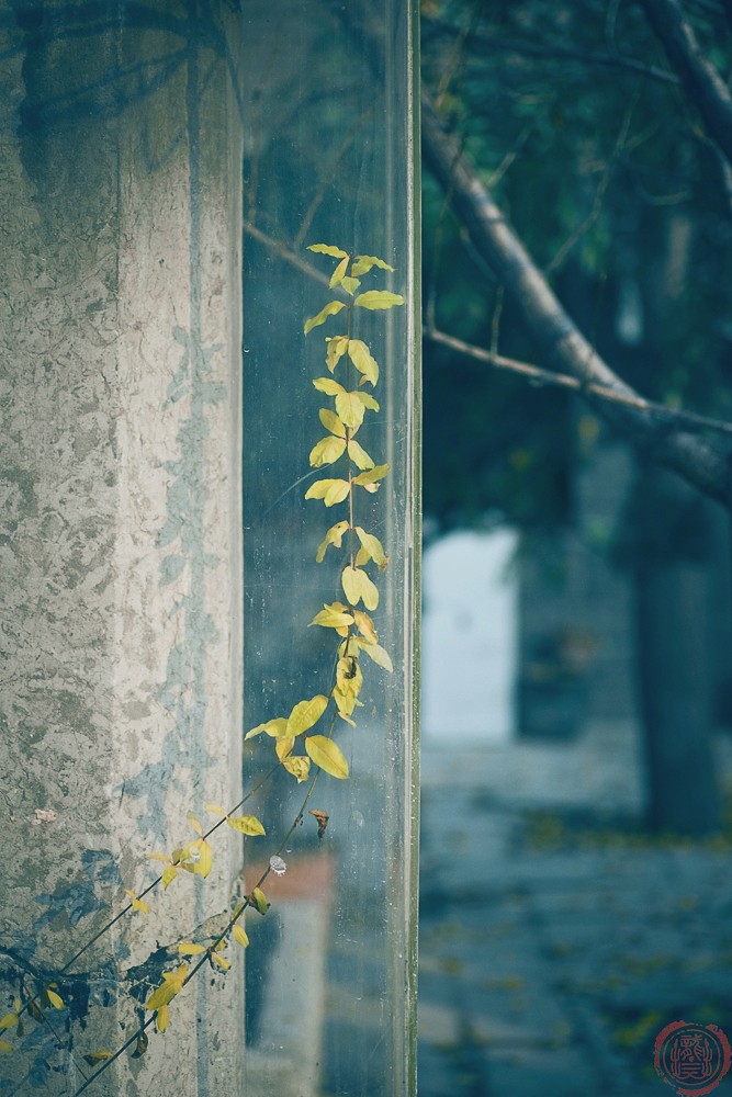 DSC_3746副本.jpg