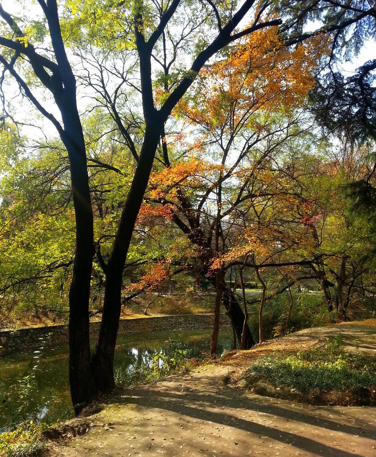 20141125_124435_副本.jpg