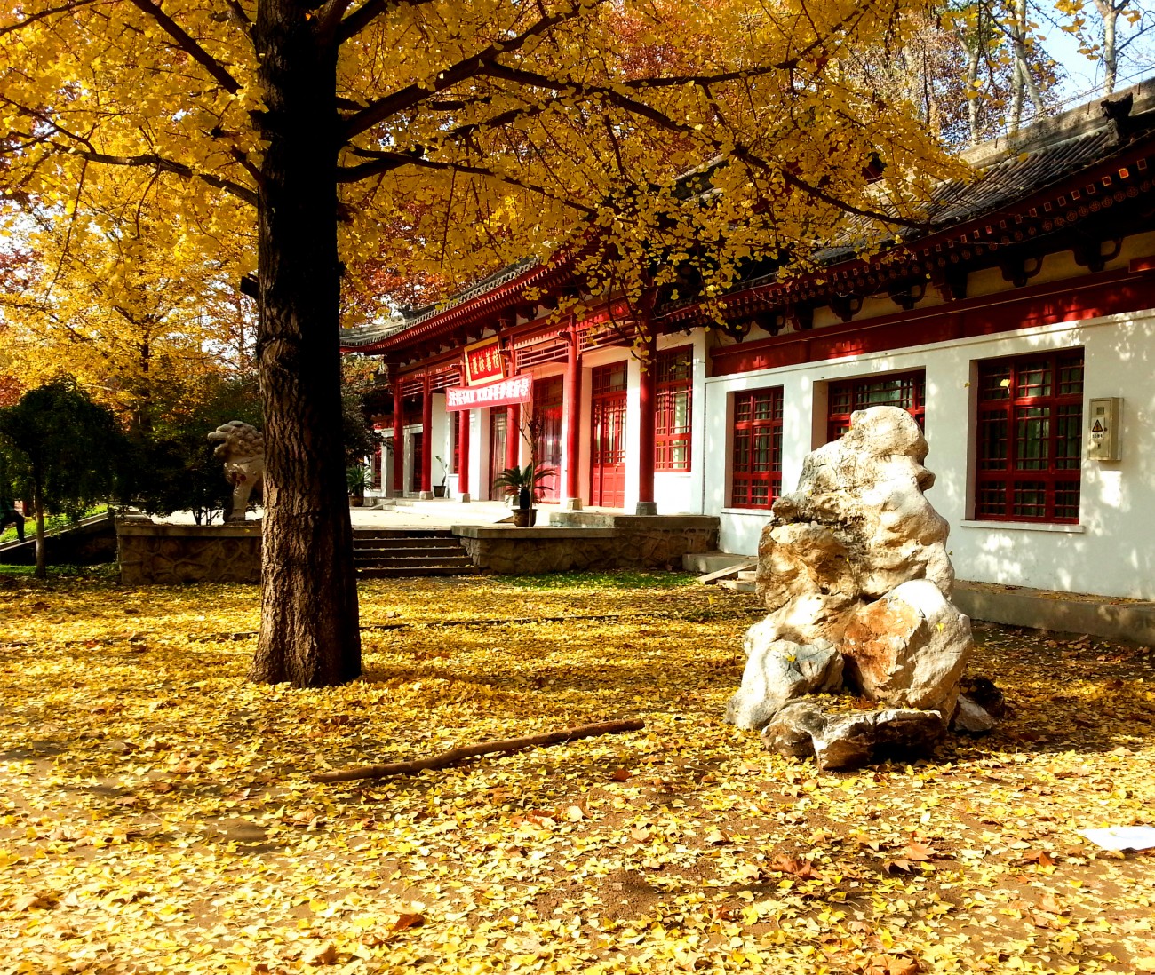 20141125_131141_副本.jpg