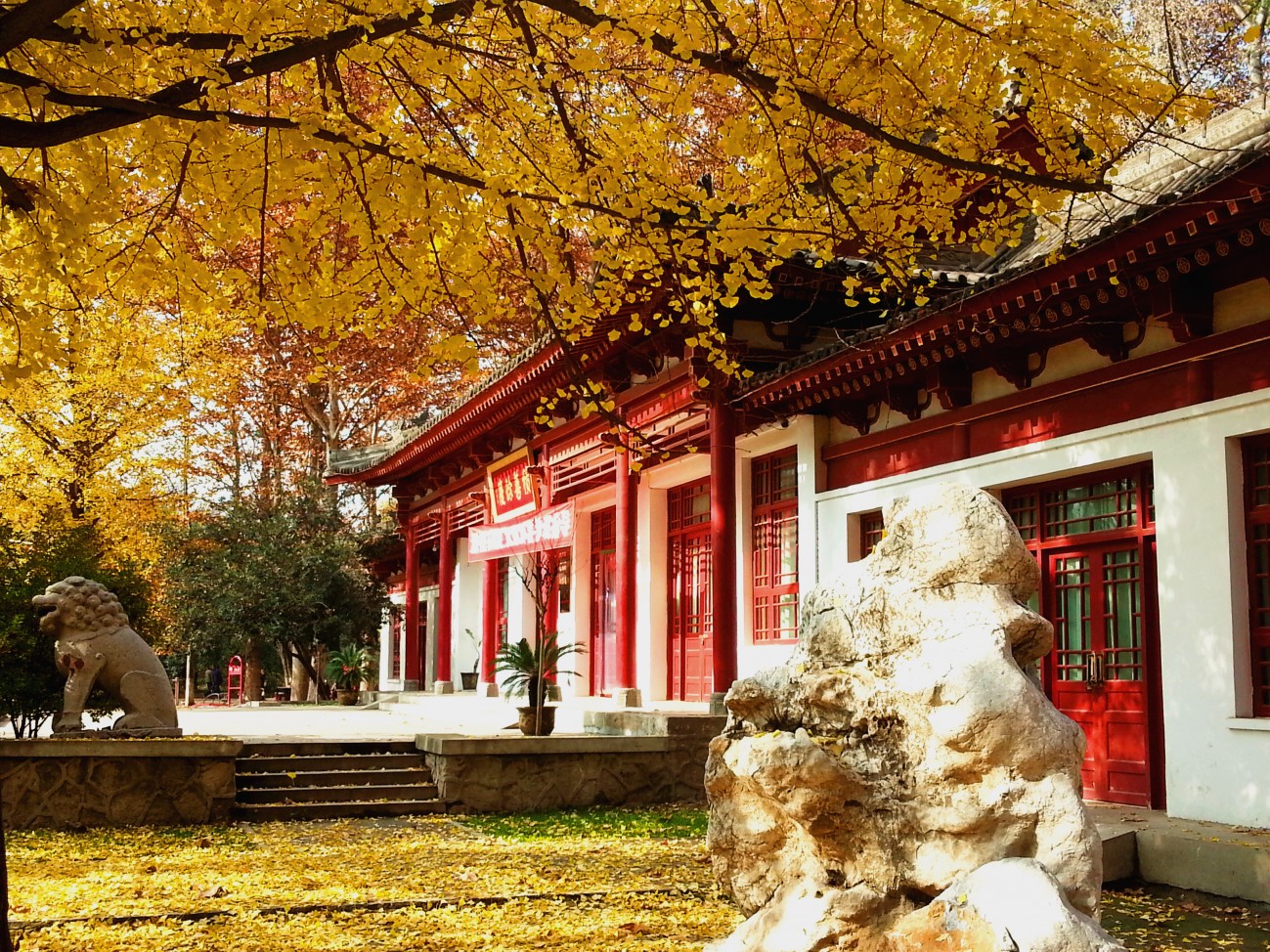20141125_131234_副本.jpg