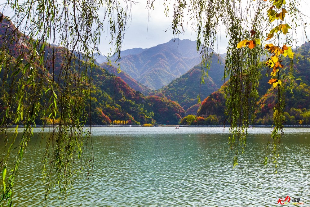 秋日翠华山 (15).jpg