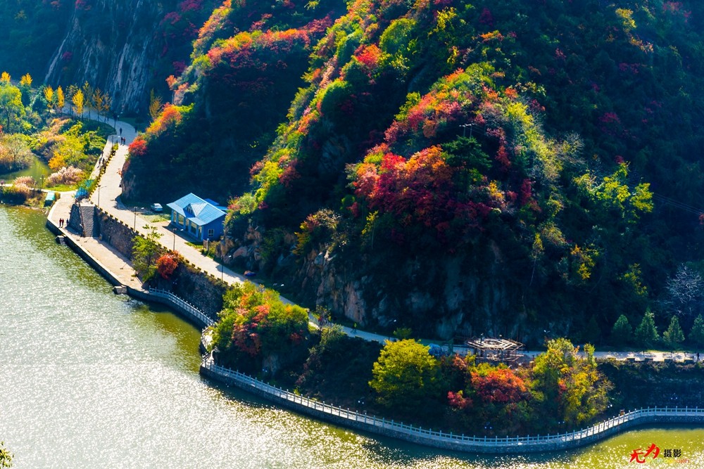 秋日翠华山 (50).jpg