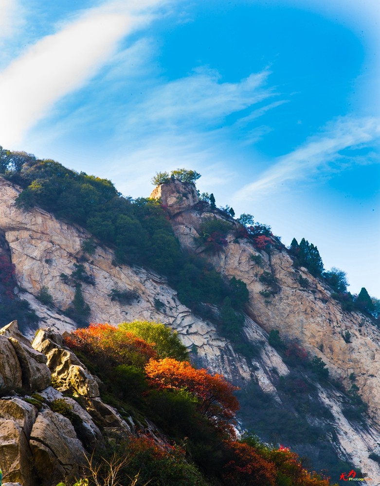 秋日翠华山 (69).jpg