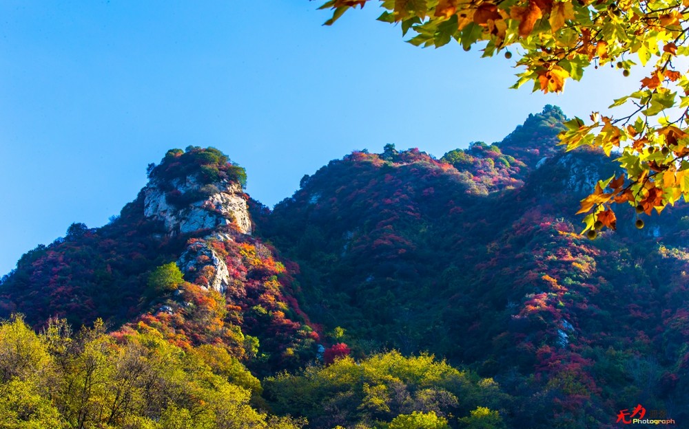 秋日翠华山 (108).jpg