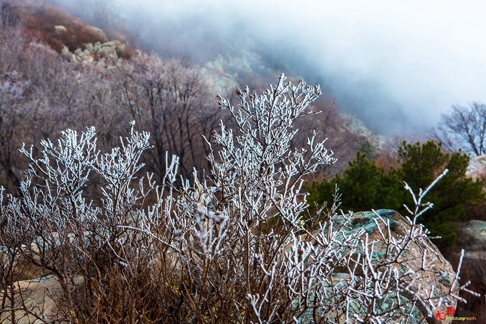 山东风光 (66).jpg
