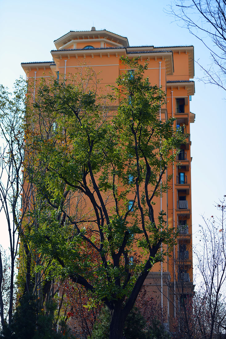 DSC_1421.jpg