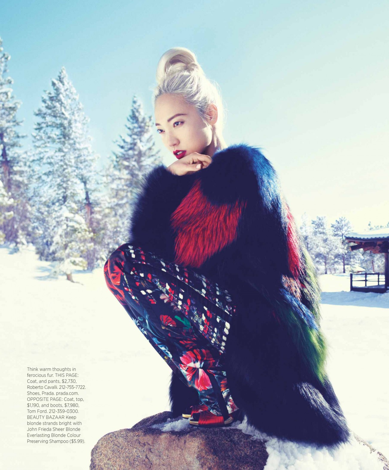 Harpers-Bazaar_US_September_2013_Soo-Joo-Park_by_Miguel-Reveriego_Snow-Angel-3.jpg