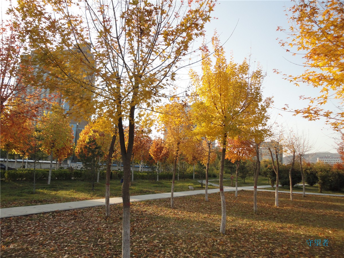 DSC09722_副本.jpg
