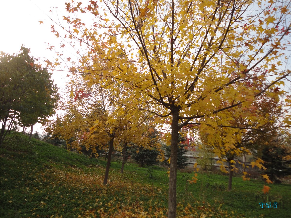 DSC09747_副本.jpg