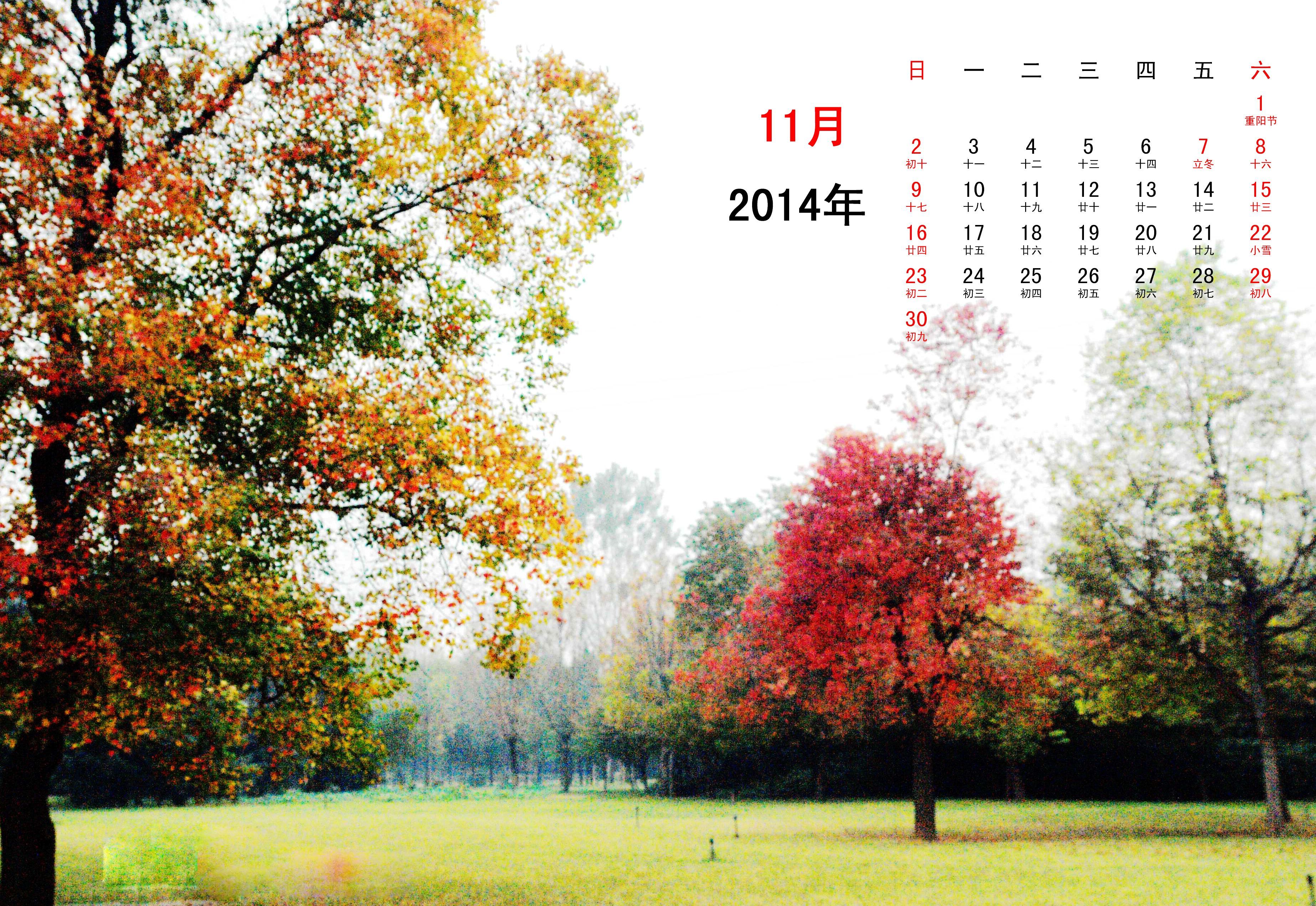 QQ图片20141030165559.jpg