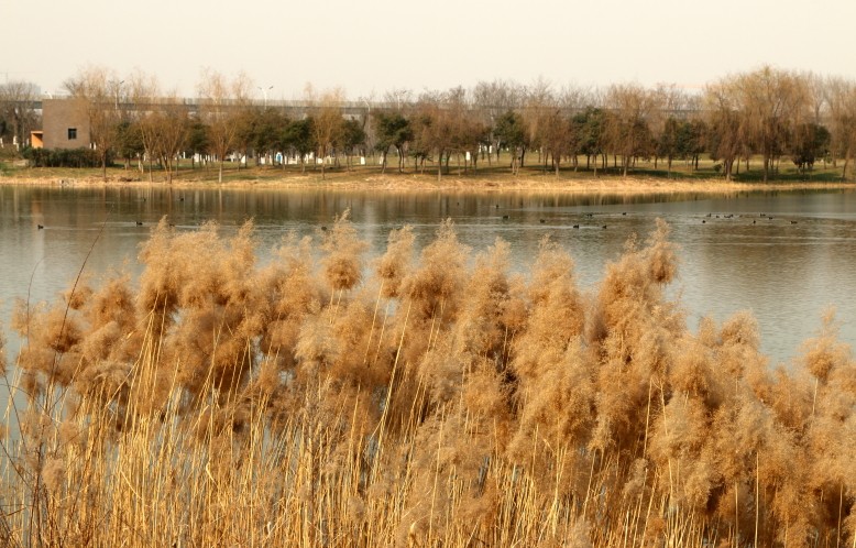 DPP_0004.JPG