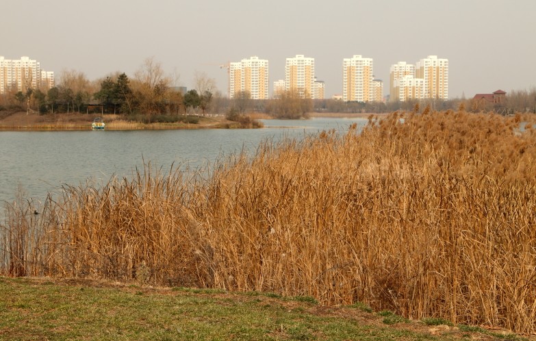 DPP_0006.JPG