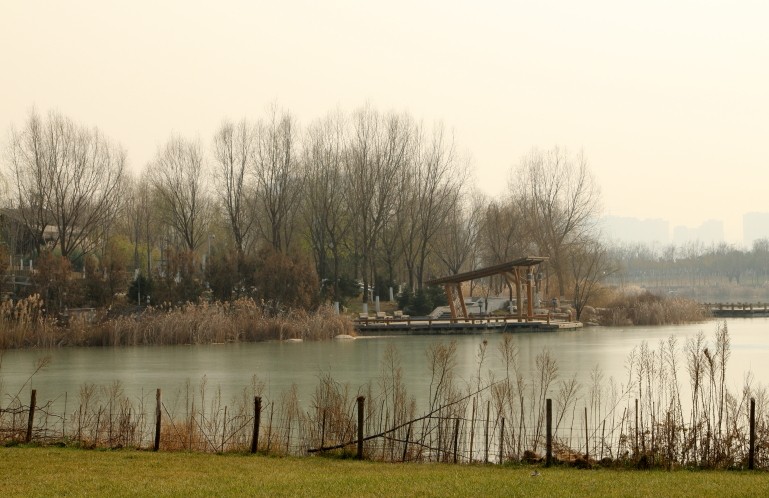 DPP_0008.JPG
