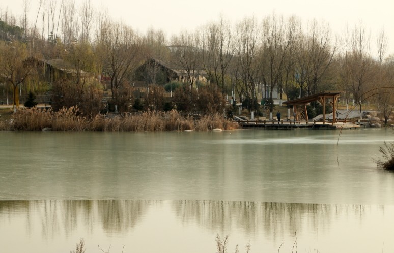 DPP_0009.JPG
