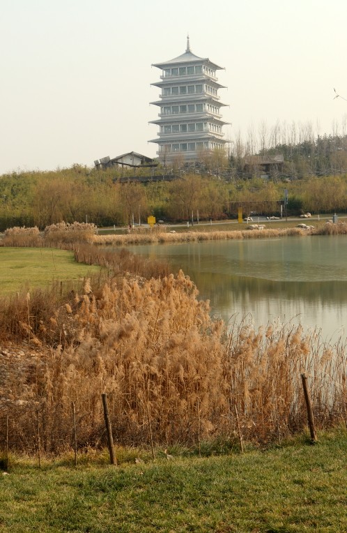 DPP_0011.JPG