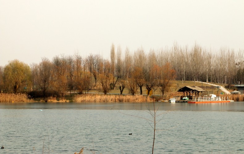 DPP_0013.JPG