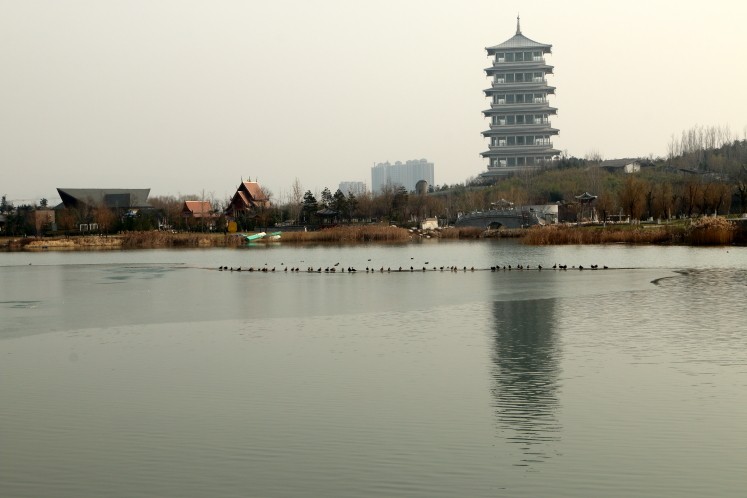 DPP_0015.JPG
