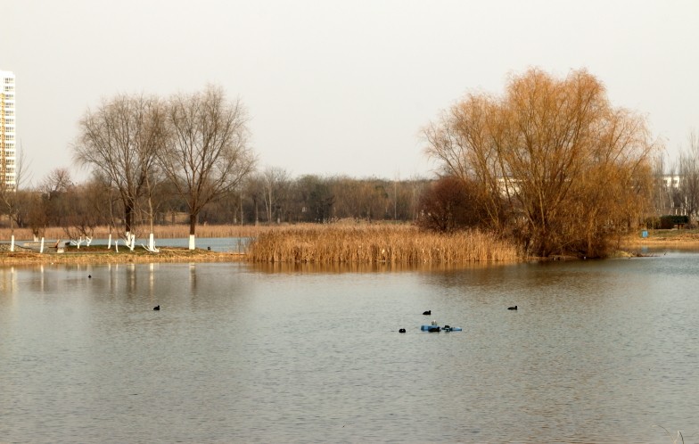 DPP_0016.JPG