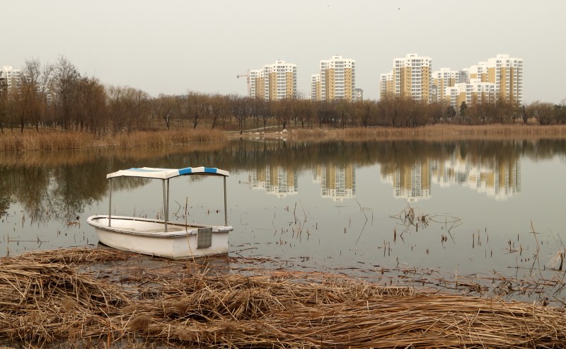 DPP_0018.JPG