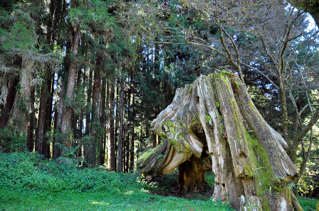 DSC_0726_副本f.jpg