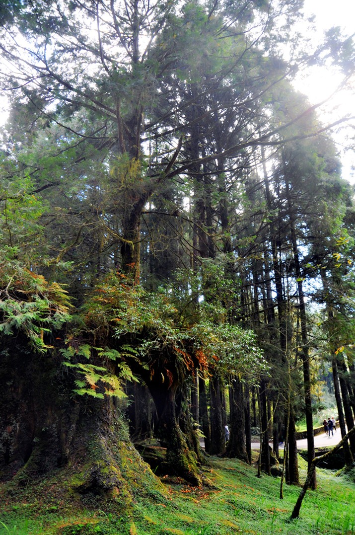 DSC_0826_副本f.jpg