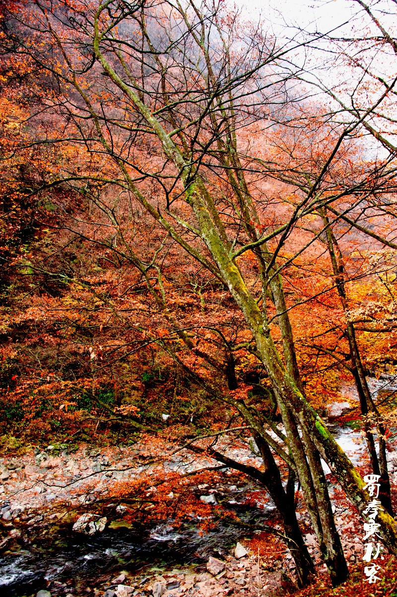 _DSC4057.jpg