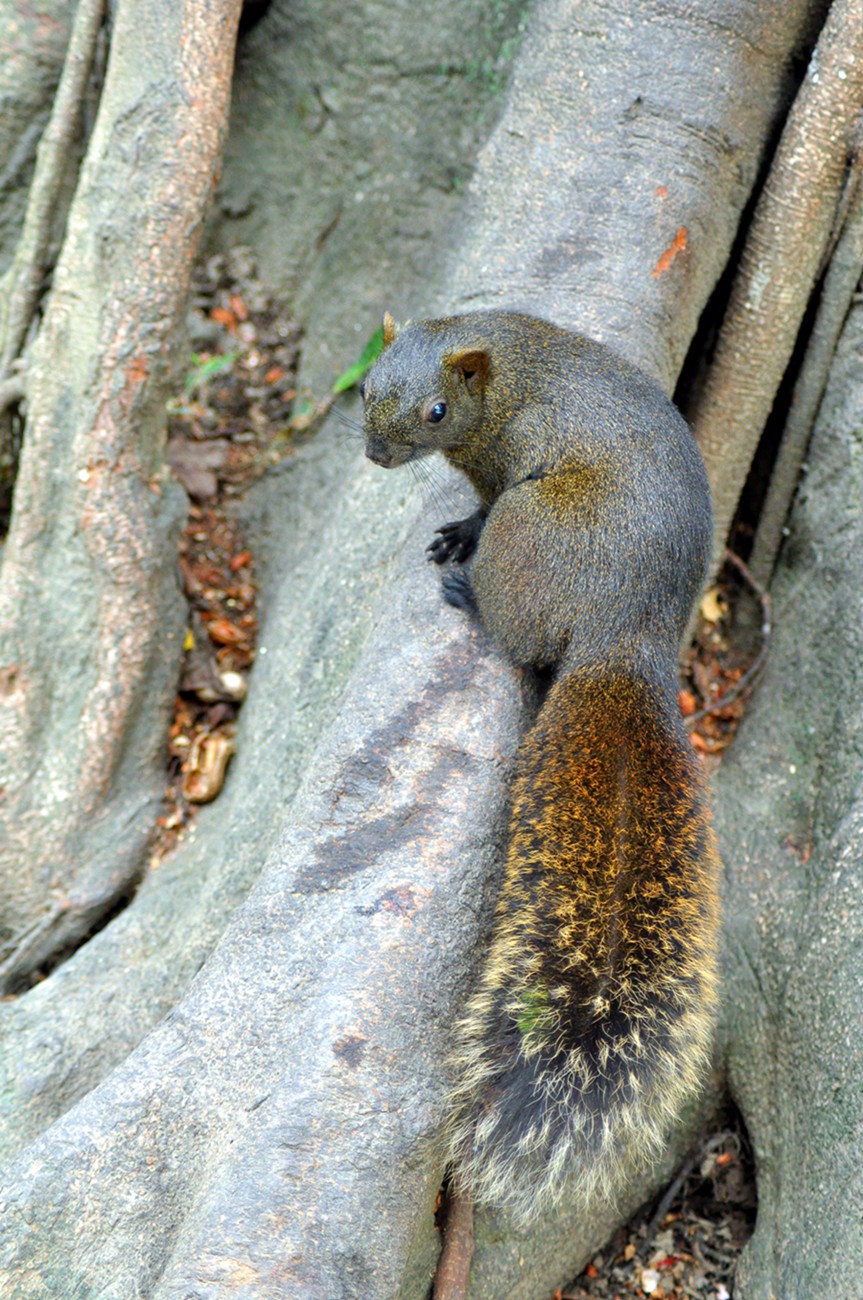 DSC_0382_副本.jpg