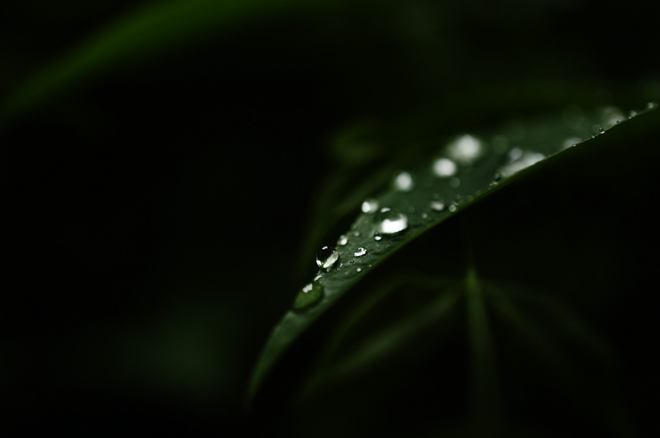 照片 014.jpg